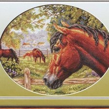 Схема вышивки «конь»