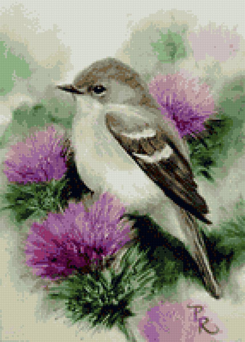 Воробей - цветы, птицы - предпросмотр