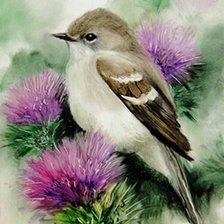 Схема вышивки «Воробей»