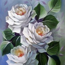 Схема вышивки «Белые розы»