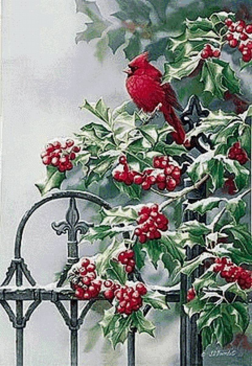 Птица - зима, ягоды, птицы - предпросмотр