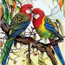 Схема вышивки «Попугаи»