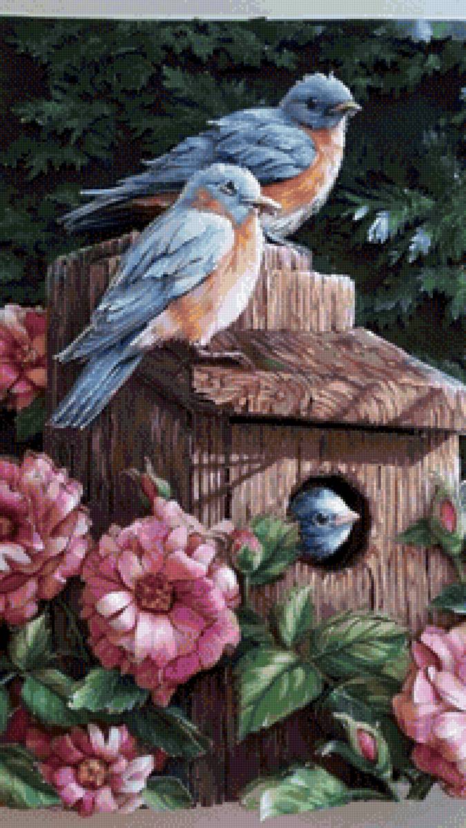 Семья - птицы, цветы - предпросмотр