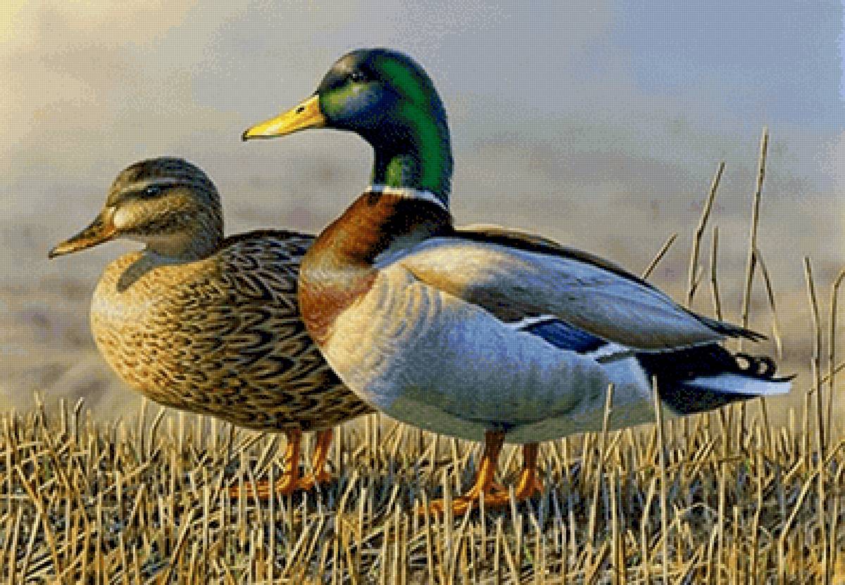 №2541863 - предпросмотр