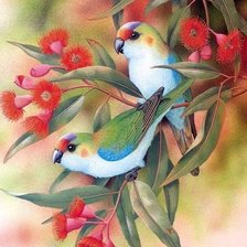 Схема вышивки «Птицы»