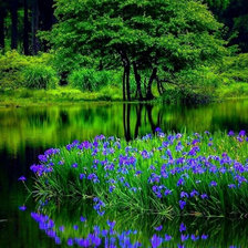 Схема вышивки «Озеро в лесу»