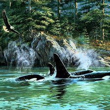 Схема вышивки «Дельфины»