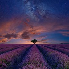 Схема вышивки «Лавандовый закат»