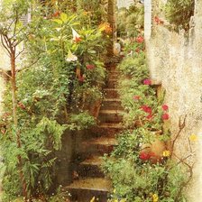 Схема вышивки «№2542495»