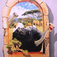 Схема вышивки «Африка»