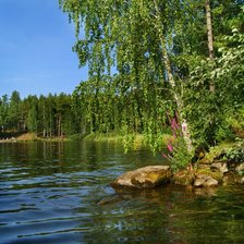 Схема вышивки «Береза и озеро»