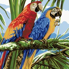 Схема вышивки «попугаи»