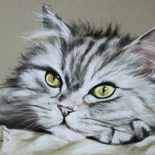 Схема вышивки «котенок»