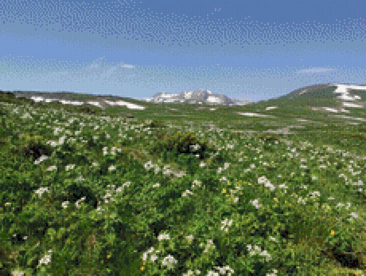 Подножье горы - трава., природа, цветы, горы - предпросмотр