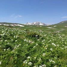 Схема вышивки «Подножье горы»