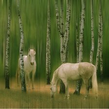 Схема вышивки «№2543281»