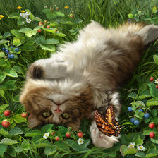 Схема вышивки «Блаженство»