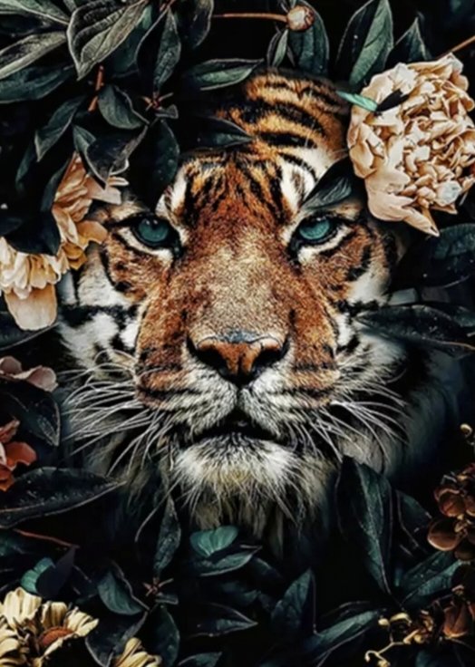 Тигр - тигр - оригинал