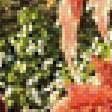 Предпросмотр схемы вышивки «натюрморт» (№2543819)