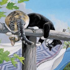 Схема вышивки «Котики на заборе»