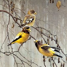 Схема вышивки «№2543948»