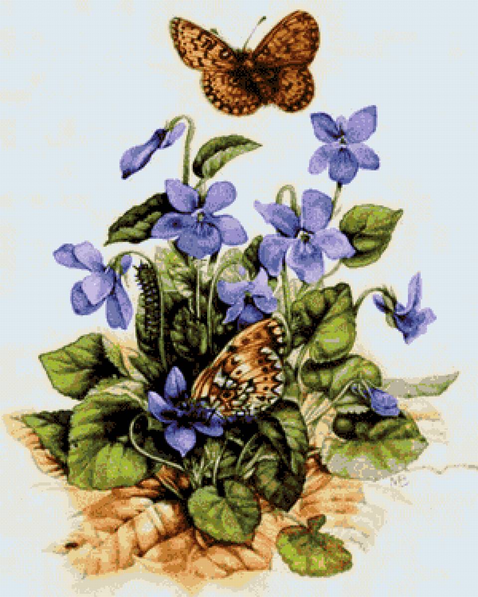 №2544291 - предпросмотр