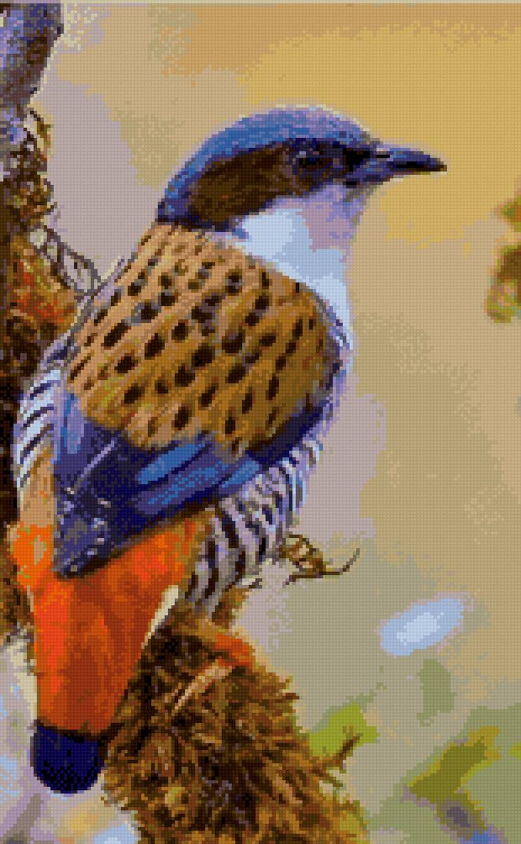 зимняя птица - скворец, птица, птицы, зима - предпросмотр