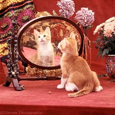 Схема вышивки «Свет мой,зеркальце, скажи»