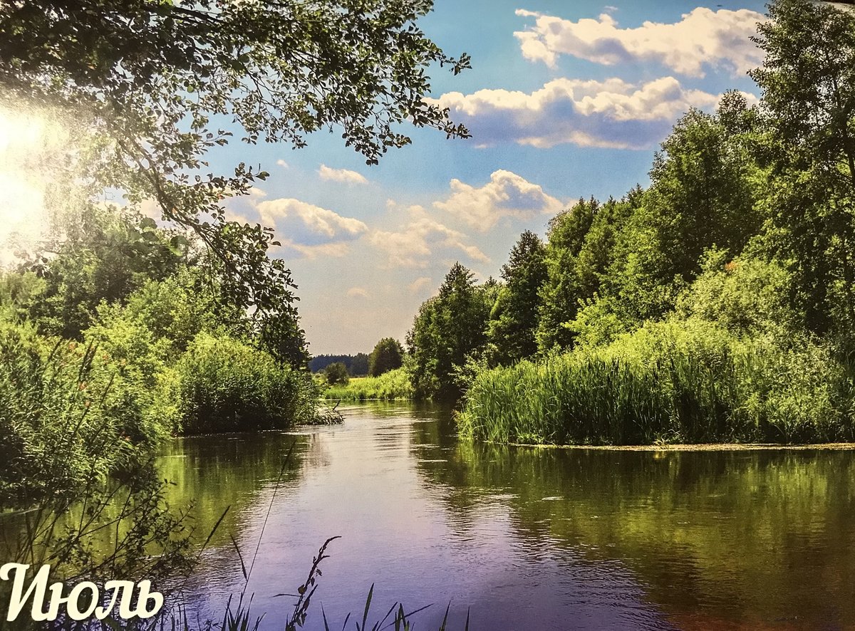 Пейзаж летний - июль - оригинал