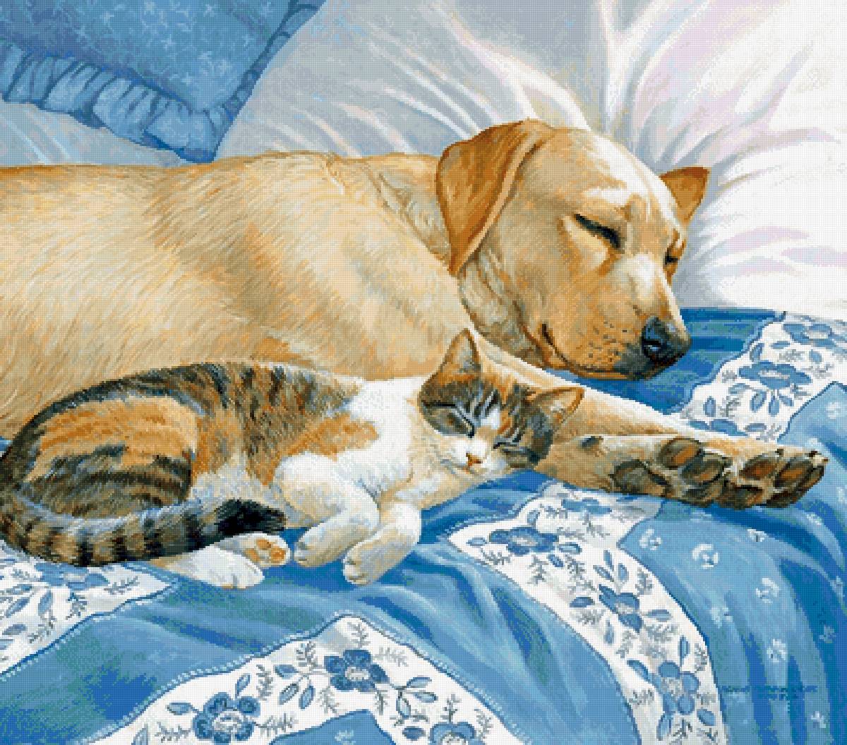 Тихий час - постель, кот, пес, собака - предпросмотр