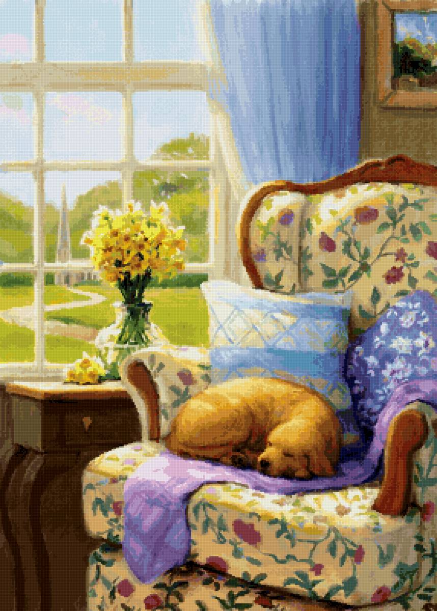 Пёс в кресле - ваза, солнце, кресло, шторам, пес, лето, окно - предпросмотр