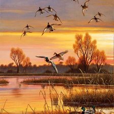 Схема вышивки «№2544665»