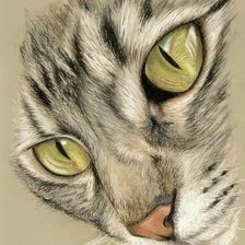 Схема вышивки «Котейка»