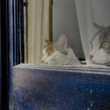 Схема вышивки «Взгляд из окна»