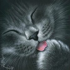 Схема вышивки «Кот»