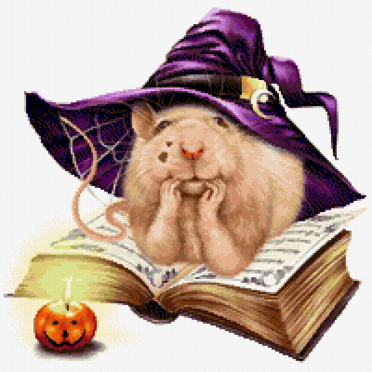 Ученый крыс - животные - предпросмотр