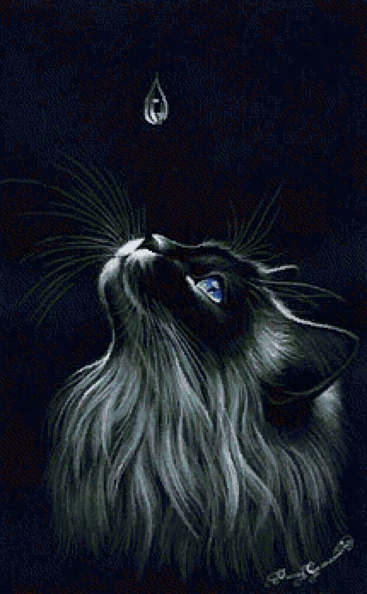 Чудо - кошки - предпросмотр