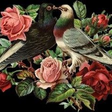 Схема вышивки «Пара»