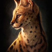 Схема вышивки «Сервал»