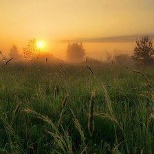 Схема вышивки «№2545823»