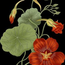 Схема вышивки «№2545942»