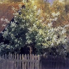Черемуха. Исаак Левитан