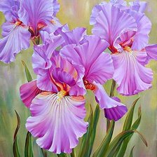 Схема вышивки «Ирис»