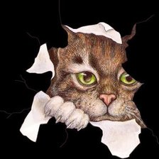 Схема вышивки «Не ждали?»