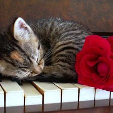 Схема вышивки «Любитель прекрасного»