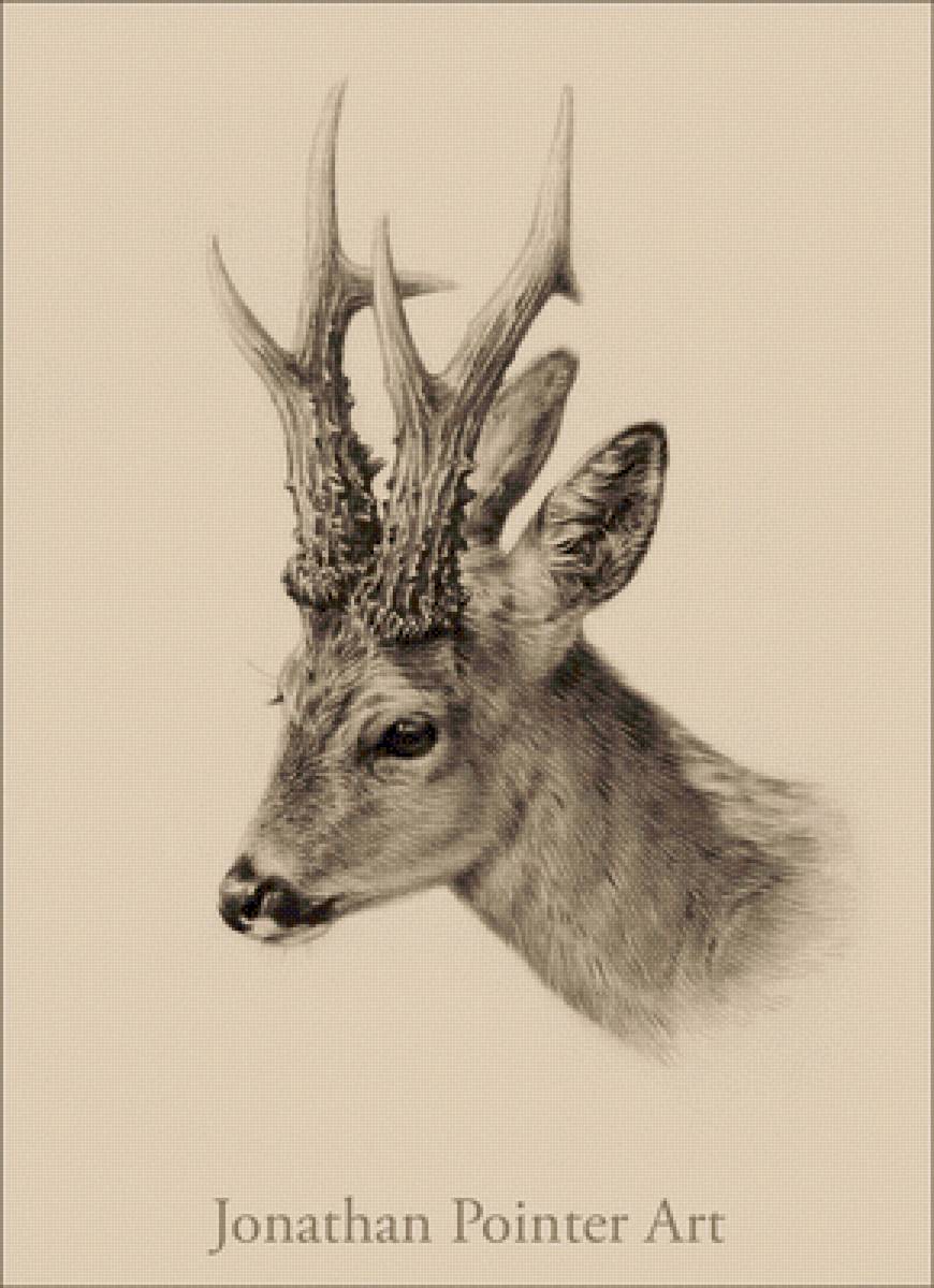 №2546779 - предпросмотр