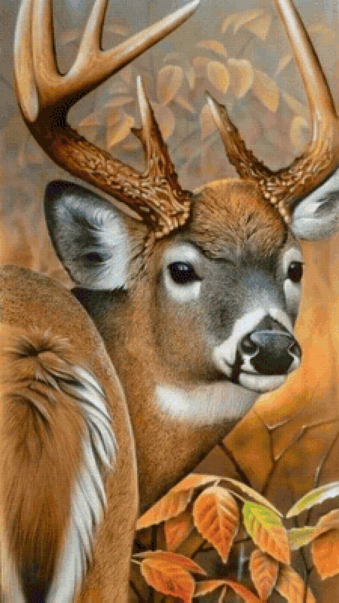 №2546827 - предпросмотр