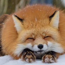 Схема вышивки «Лисичка»