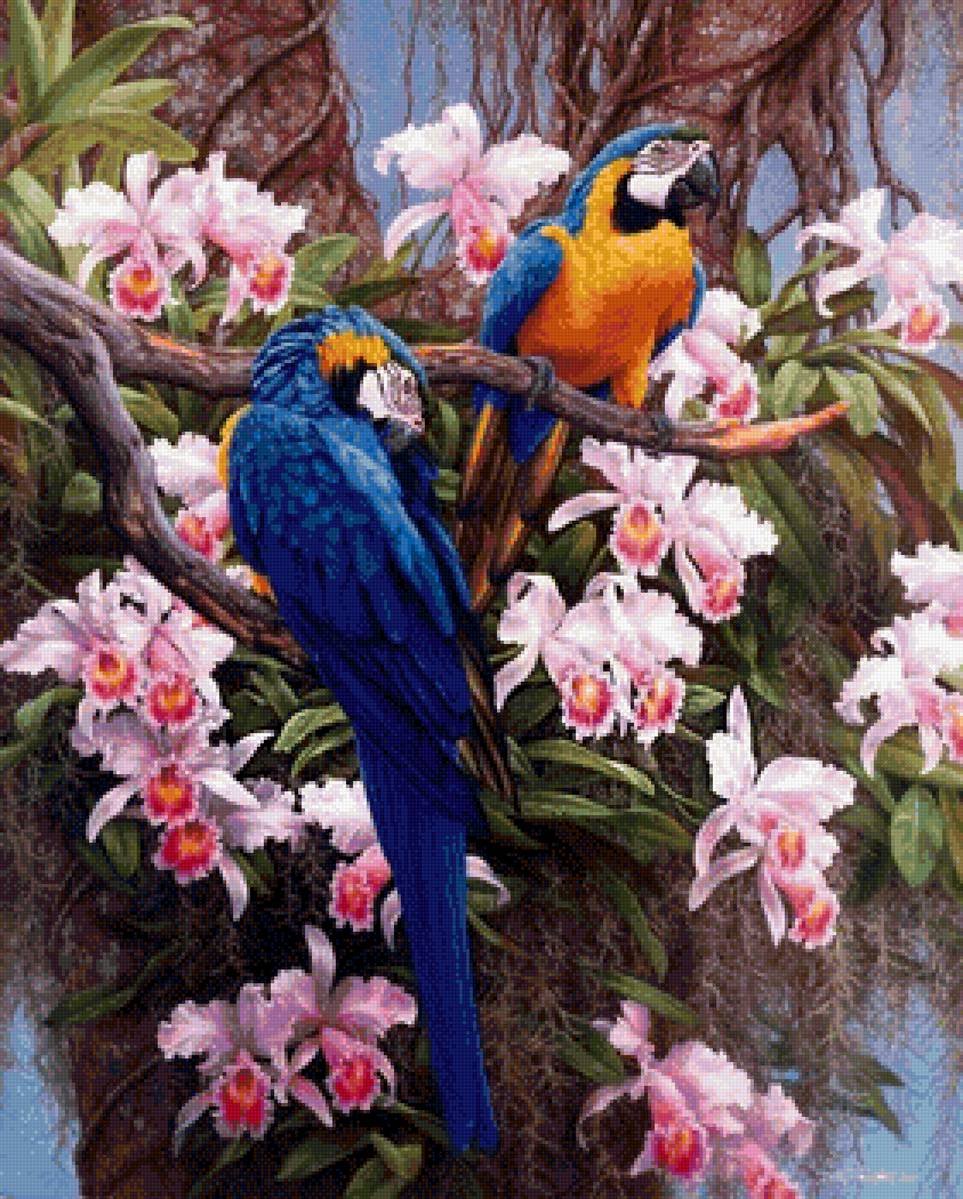 Попугаи - птицы, цветы, попугаи - предпросмотр
