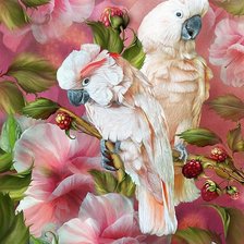 Схема вышивки «Попугаи»